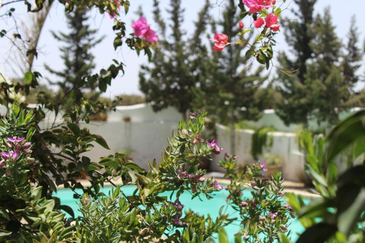 Riad Sanam Εσαουίρα Εξωτερικό φωτογραφία