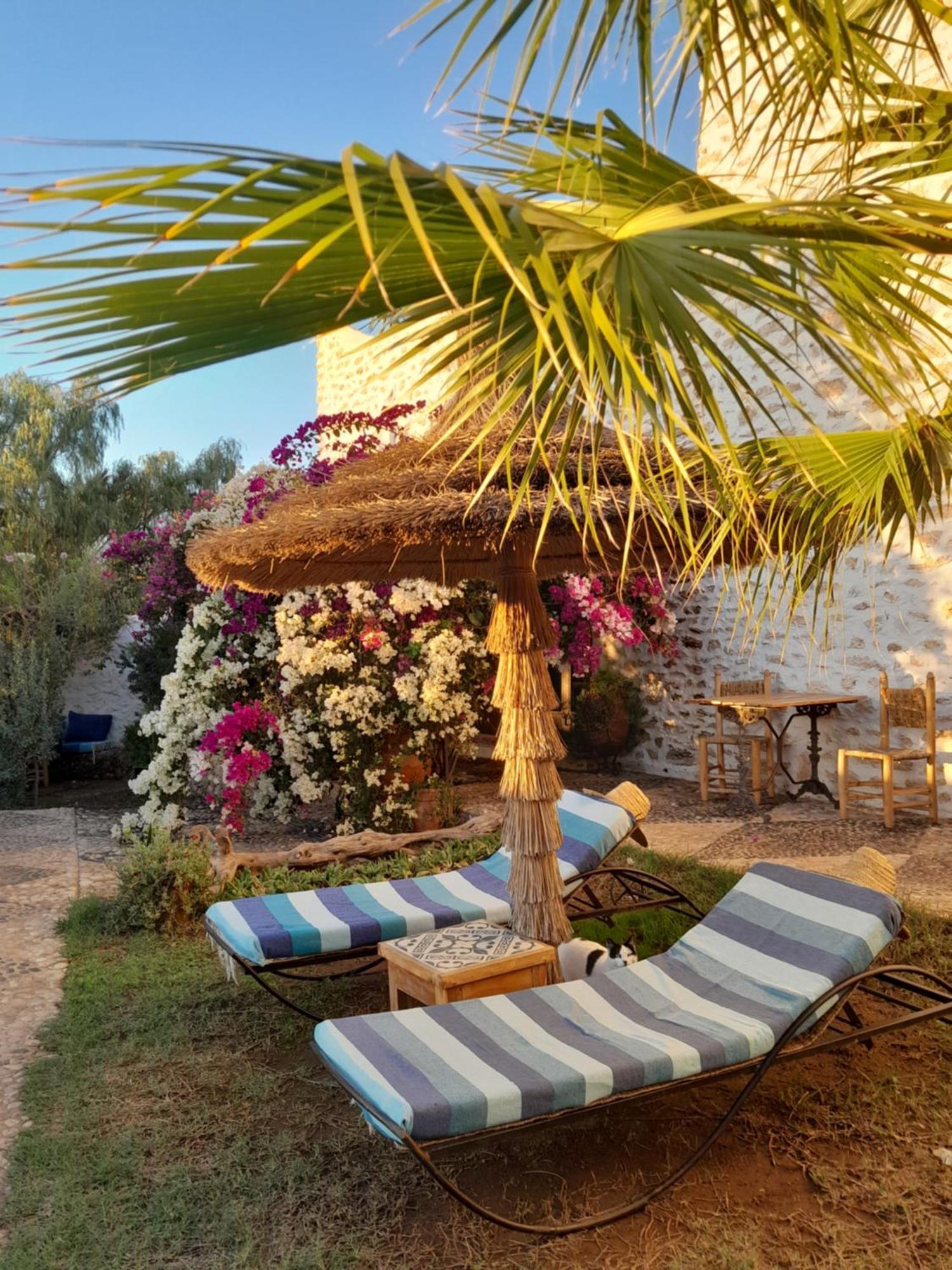 Riad Sanam Εσαουίρα Εξωτερικό φωτογραφία