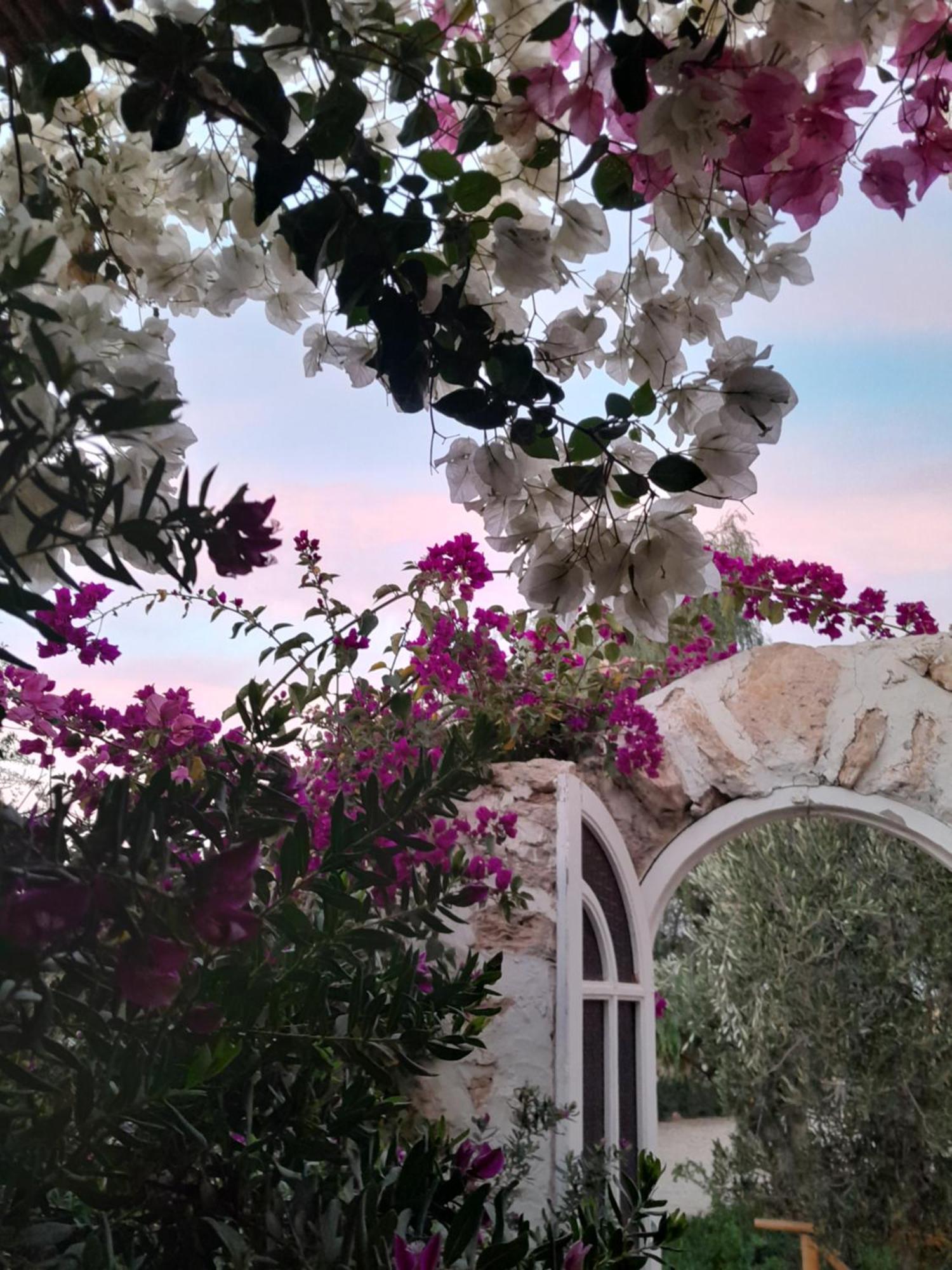 Riad Sanam Εσαουίρα Εξωτερικό φωτογραφία