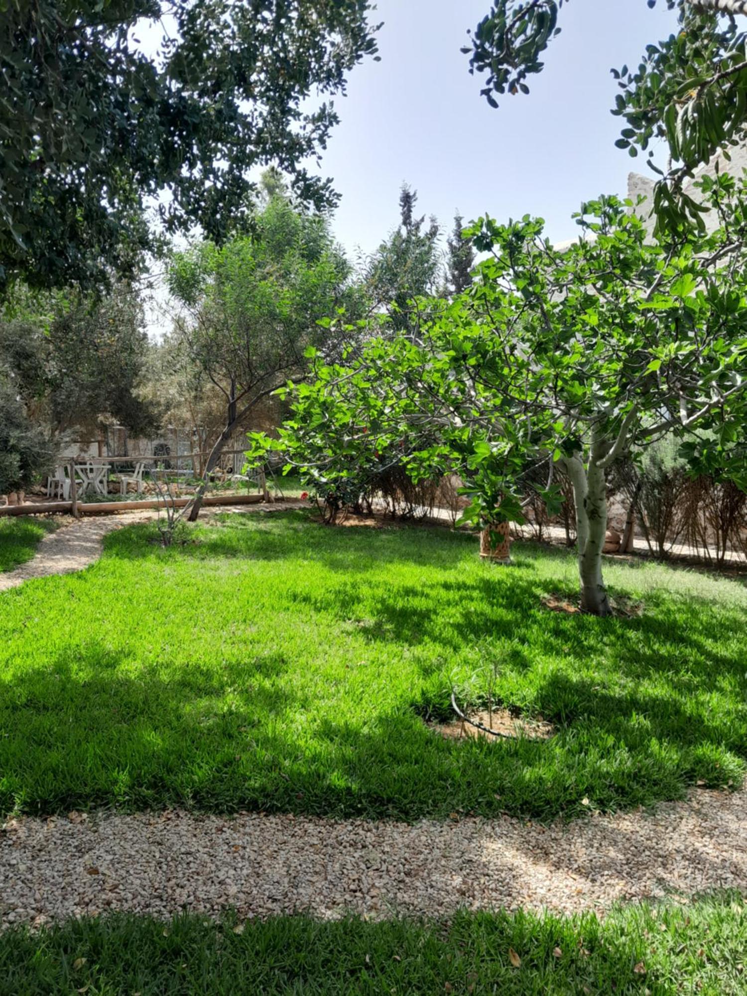 Riad Sanam Εσαουίρα Εξωτερικό φωτογραφία